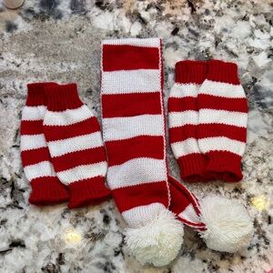 Red and White Striped dog  Winter Set